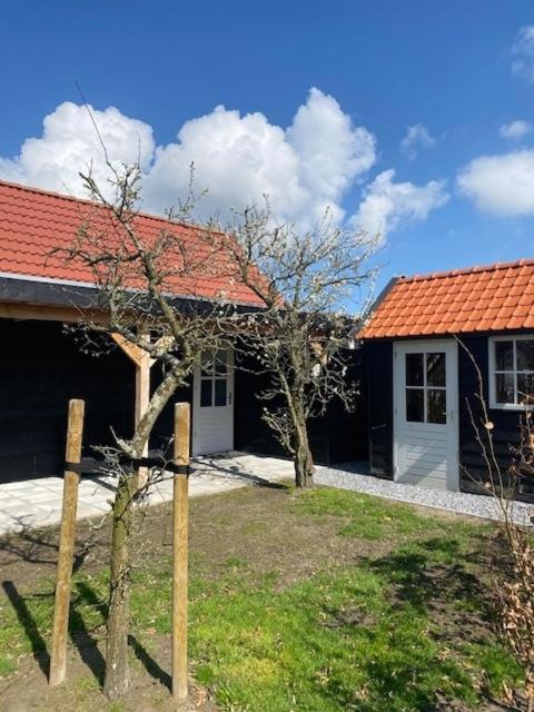 'T Schouws Uusje Villa Burgh-Haamstede Eksteriør billede